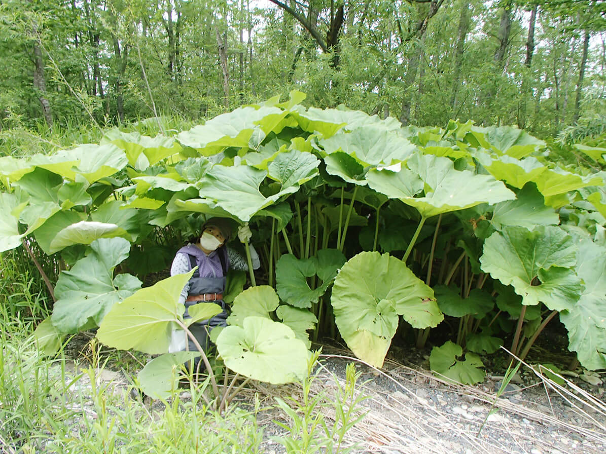 調査測量/環境調査のイメージ画像